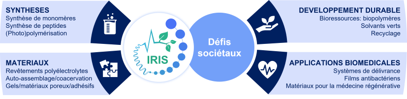 IRIS recherche